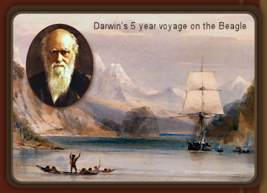 darwin